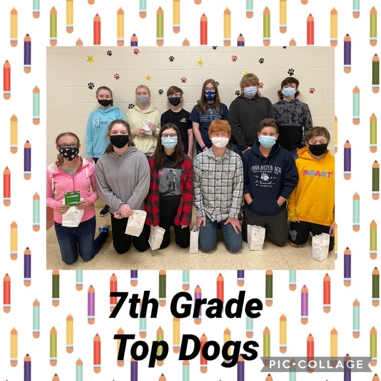 7th top dogs