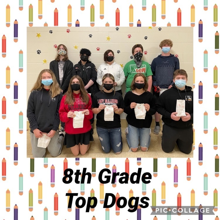8th top dogs