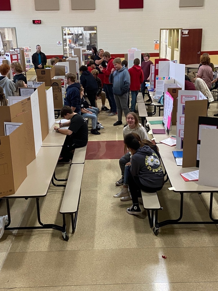 Science Fair Image #4